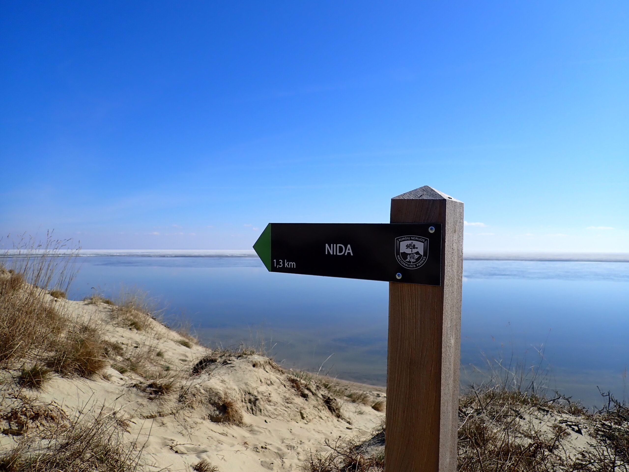 🇱🇹 Nida w marcu – tam, gdzie śnieg spotyka się z piaskiem
